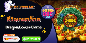 หน้าปก-บทความ-pussy888-me copy