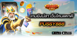 เกมยิงปลา เว็บไหนแตกดี Pussy888